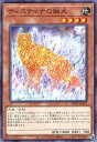 遊戯王 WPP5-JP017 ノーマル 効果モンスター ◆017◆ ティスティナの猟犬 ◆017◆ 【中古】【Sランク】