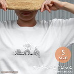 あす楽 かめいち堂 生地リニューアル　透けない　カメさんの日向ぼっこ tシャツ Sサイズ 小さめ 半袖 レディース かめ 亀 イラスト ホワイト アート 北欧 おしゃれ かわいい 水族館 ペン画 入学　プレゼント ギフト サーファー ダイビング 重ね着　白