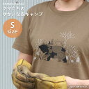 あす楽 かめいち堂 クマたちのゆかいな森キャンプ tシャツ Sサイズ 小さめ 半袖 透けない 肉厚な生地 レディース クマ くま アニマル 動物 たぬき リス ウサギ キャンプ イラスト ブラウン 北欧 おしゃれ かわいい 動物園 プレゼント ギフト プレゼント 茶