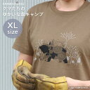 あす楽 かめいち堂 クマたちのゆかいな森キャンプ tシャツ XLサイズ 半袖 透けない 肉厚な生地感 レディース メンズ クマ くま アニマル 動物 たぬき リス ウサギ キャンプ イラスト ブラウン 北欧 おしゃれ かわいい ギフト 入学 プレゼント ジム ヨガ