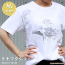 あす楽 かめいち堂 ＜ フロント ＞ ザトウクジラ 生地リニューアル 透けない tシャツ Mサイズ 標準 半袖 レディース くじら クジラ 動物 イラスト ホワイト M アート 北欧 おしゃれ かわいい 水族館 海 ペン画 プレゼント ギフト サーフ ダイビング