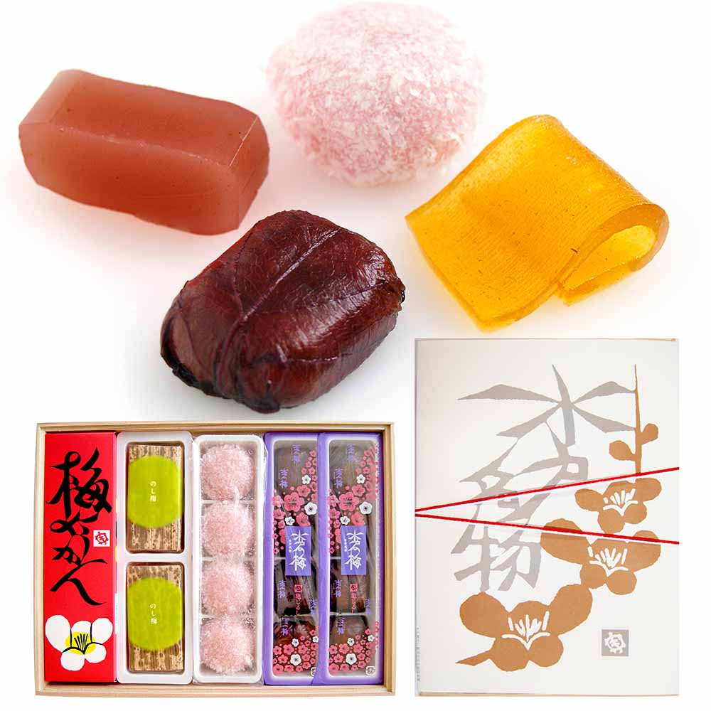 【梅菓子4種詰合 梅菓撰】水戸の梅 のし梅 梅羊羹 銘菓 茨城土産 ギフト 御歳暮 お年賀