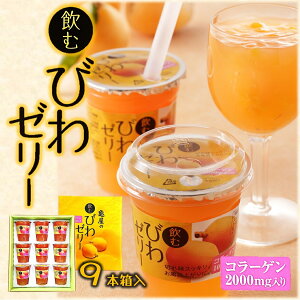 (送料無料)【飲む びわゼリー 9本箱入】 コラーゲン 2000mg入 枇杷 びわゼリー 千葉 房総 ビワゼリー ギフト 高級 フルーツゼリー びわ 差し入れ ゼリー ご当地 お取り寄せ フルーツゼリー 高級ギフト 内祝 常温発送