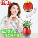 スマートフラワーポット HO-F01 植木鉢 鉢植え プランター 花 観葉植物 栽培 ミニ 小さい おしゃれ 癒し リラックス 音が鳴る 音楽 音色 LED 光る インテリア 可愛い スマートポット 赤 レッド コンパクト 持ち運べる 移動 自宅 玄関