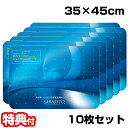 10枚セット サラリト除菌マット RS-L1245 玄関マット 35x45cm 除菌マット 出入口 トイレマット 除菌シート 靴除菌 足裏除菌 足マット さらり...