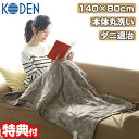 広電 電気ひざかけ毛布 ブランケット 大判 140×80 サイズ CWN141H-HK 洗濯可能 ひざ掛け 電気毛布 電気ひざ掛け ダニ退治 電気膝掛 電気ひざ...