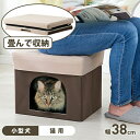 ペットハウスになるスツール ねこ 椅子 イス 腰かけ チェアー 小型犬 ペット ペットハウス スツール キャットハウス ドッグハウス 家具 椅子 足置き オット...