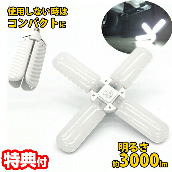 󥰥饤 4籩 FS-470 3000롼 LED饤 ŷ饤 ƥꥢ  ȶ  ޤ ѥ Ҹ...