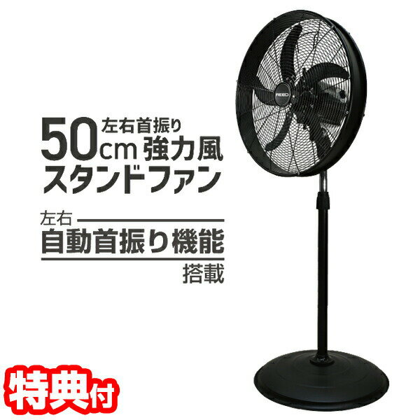 ReeD 50cm左右首振り 強力風 スタンドファン RD-HYS50-BK 大型扇風機 スタンド扇風機 据置型 工場扇風機 左右自動首振り 熱中症対策 アルミ羽根 工業扇風機 空調 送風 涼しい 暑さ対策 倉庫 工場 据置型扇風機 夏物家電 夏 暑さ対策 風 首振り [6月中旬入荷予定]