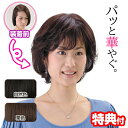 SO-110 ソフトネットヘアピース 人毛100％ 総手植え 自然色 栗色 部分ウィッグ 部分かつら ...