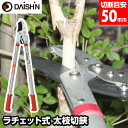 EGラチェット式 太枝対応 太枝切鋏 DG-3 枝切鋏 太枝切り鋏 送料無料 高枝切り挟 枝切ハサミ 太枝切りバサミ ガーデニング 園芸 剪定 農業 太枝切ハサ...