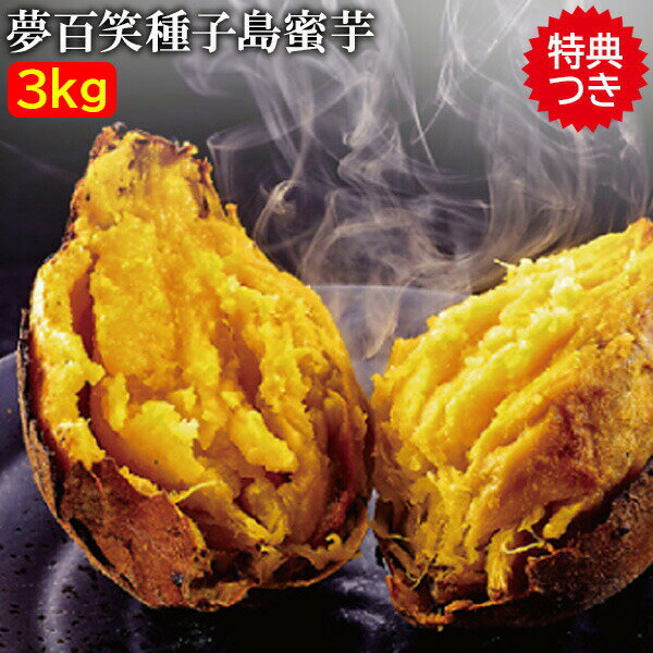 【3kg】種子島 夢百笑 蜜芋 安納芋 Sサイズ 約21個 国産 種子島蜜芋 種子島 蜜芋 鹿児島県産 安納芋 蜜 甘い おいしい たっぷり しっとり 美味しい 種子島蜜イモ 種子島蜜いも 種子島芋 石焼きいも 子供も喜ぶ 干し芋 石焼いものサムネイル