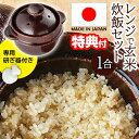 日本製 レンジで玄米炊飯セット 1合炊 玄米炊飯器 レンジ専用 電子レンジ 炊飯器 ご飯釜 WA-951 浸水なし レンジで玄米 レシピ付き 専用研ぎ器付き 玄米炊飯機 土鍋 玄米 おひとり様 ギフト ケデップ K+dep 時短