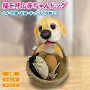 福を呼ぶ赤ちゃんドッグ 玄関 小物入れ 犬 動物 ラブラドール 子犬 置き物 いぬ 仔犬 オブジェ わんちゃん 犬の置物 リアル 卓上小物入れ 鍵置き カギ 鍵...