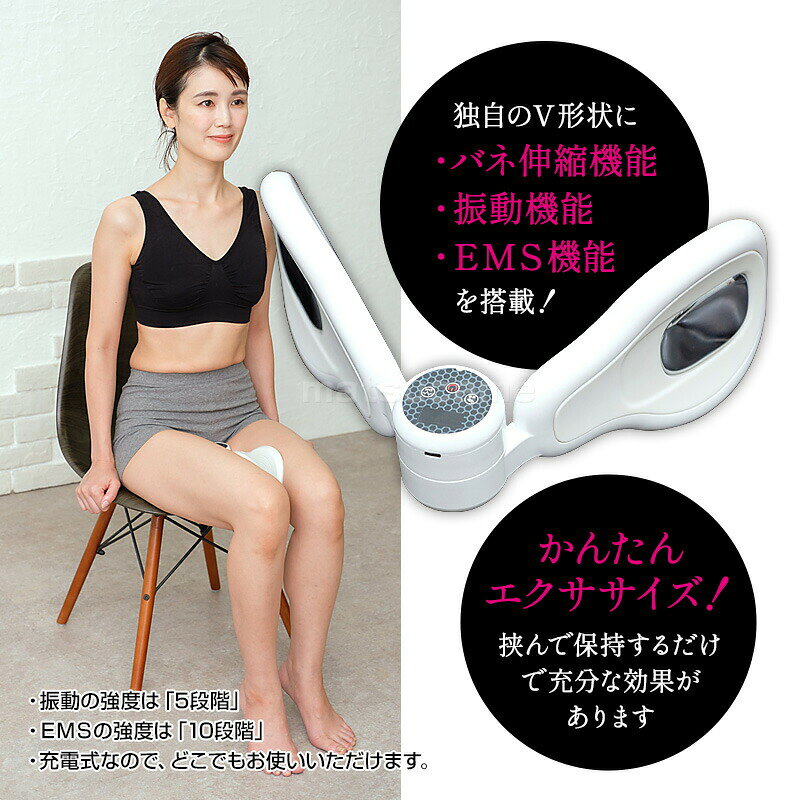 LIFEFIT ライフフィット Vトレアプローチ Fit020 バネ 振動 EMS Vトレ アプローチ ...