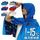 Activital 冷感 体感-15℃ クールメイカー 冷却タオルポンチョ 水冷服 冷房服 熱中症予防 接触冷感 紫外線対策 アイス 冷却服 ベスト ひんやり リバーシブル 日焼け防止 日焼け止め 日除け 水冷ベスト クールダウン アウトドア 吸水速乾 男女兼用 ひんやりグッズ 冷却グッズ(4)