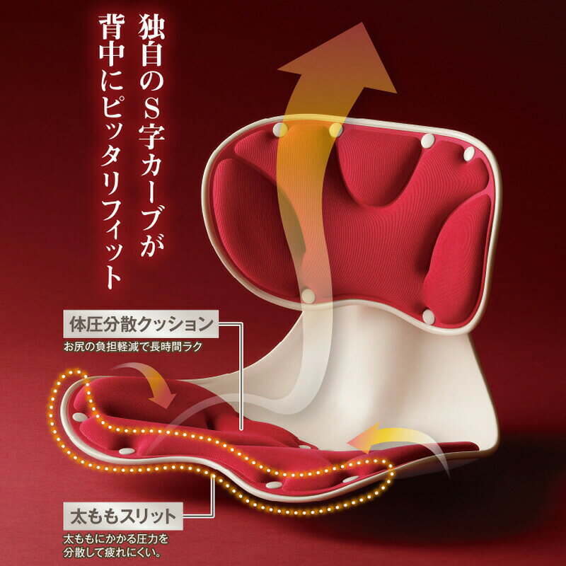 【選ぶ景品付】 座椅子 腰サポート 骨盤ケア 腰にピタッと美姿勢チェア メイダイ ...