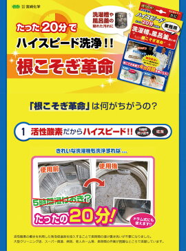 根こそぎ革命 宮崎化学 業務用洗濯槽クリーナー 洗濯槽や風呂釜洗いの根こそぎ革命 発砲促進剤付き 日本製