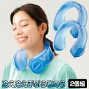 話題の品 冷え冷え手ぶら氷のう 2個組 アイシング 氷嚢 首にかけるだけ手ぶらで冷え冷え やわらか素材の氷嚢 首にかける氷のう ひえひえ 手ぶら 氷嚢 リカバリ...