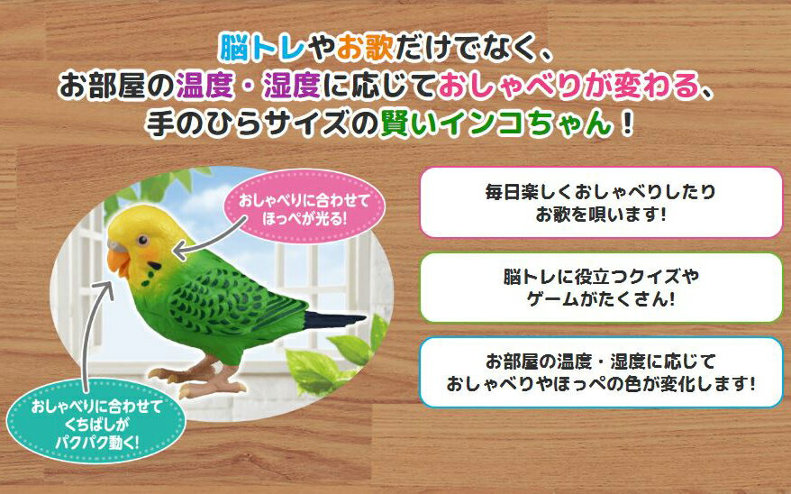 毎日おしゃべり 天才インコちゃん 音声認識人形 お話し人形 おしゃべりロボット 毎日お喋り しゃべる人形 天才インコチャン おもちゃ ギフト 脳トレ