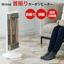 【選ぶ景品】 ブリッサ 900W 首振り ツイン カーボンヒーター BDTM900WH 速暖ヒーター 首振り 足元ヒーター 脚温機 足温機 子供部屋ヒーター ヒートショック予防 暖房器具 脱衣所ヒーター 小型ヒーター 足元ヒーター 900W 電気暖房 遠赤ヒーター 遠赤外線