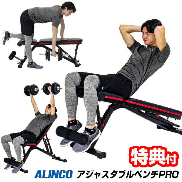 ALINCO 륤 㥹֥٥PRO FA223 ʢڥ٥ 㥹֥٥ץ åȥåץ٥ ʢڥޥ ...