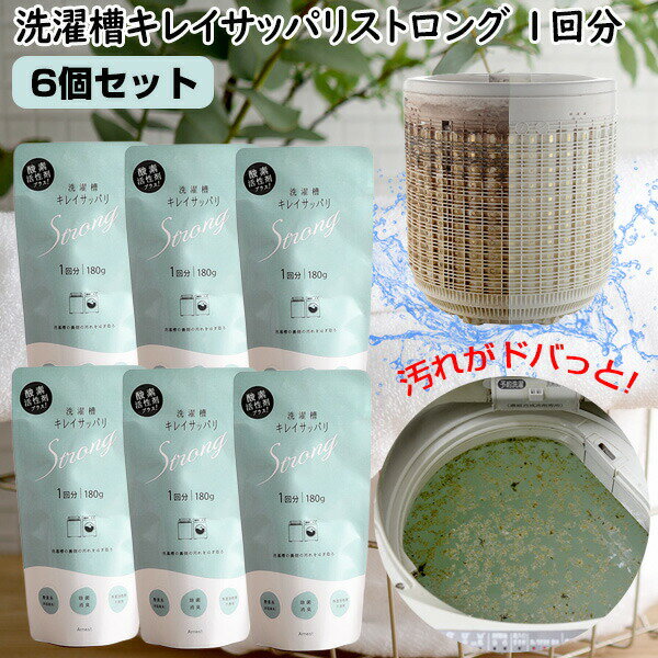 6個キット 洗濯槽キレイサッパリストロング 1回分×6個セット 洗濯槽クリーナー 洗濯槽クリーナー 