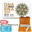 ユニカ DNA and RNAドリンク 聖杯 8g×30包入 日本製 DNA RNA トルラ酵母 オリゴ糖 還元型ビタミンC 補..