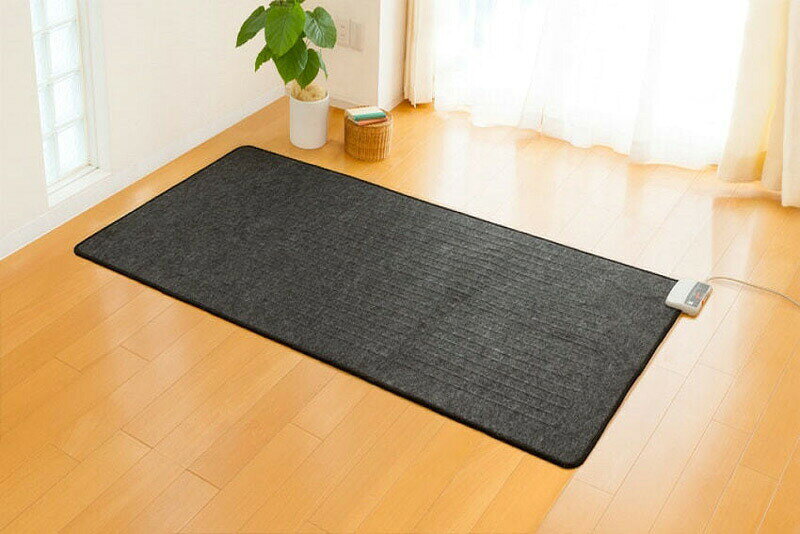 【選ぶ景品】 ゼンケン 電磁波カット 電気ホットカーペット 1畳用本体のみ ZCB-10S...