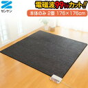 【選ぶ景品】 ゼンケン 電磁波カット 電気ホットカーペット 2畳用本体のみ ZCB-20S 電子カーペット 176×176cm 床暖房 電磁波防止 電気カーペッ...