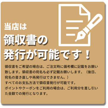 4特典【送料+お米+保証+ポイント】 ケンコー地球儀＆天球儀 KG-200CE 国別に色分けされた行政地図も採用 部屋を暗くすると プラネタリュウムのような天球儀に変身 KG200CE