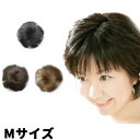 ポイントヘア Mサイズ ヘアウィッグ 部分かつら ポイントウィッグ ヘアピース ヘアーピース 女性用カツラ 部分カツラ 毛染め ヘアーアイロン 可能 白髪