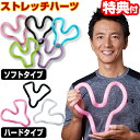 保阪尚希 ストレッチハーツ ハードタイプ ソフトタイプから選べる 解説DVD・冊子付 ストレッチ器具 通販王 保阪尚希ストレッチハーツ 筋膜 肩甲骨 グッズ 背...