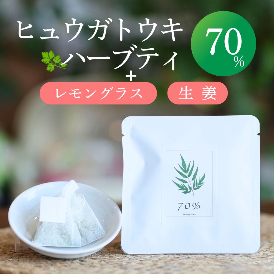 ヒュウガトウキハーブティー70％【ティーパック】2包・7包・20包 日本山ニンジン にほんやまにんじん ヒュウガトウキ 自社農園 無添加 無農薬 温活 冷房対策 冷え性 健康茶 YN-1 ハーブ レモングラス 生姜