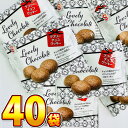 【平日正午までの注文で最短翌日お届け】【送料無料】銀の汐 ラブリー チョコクッキー 1袋(10g)×40袋【 お祭り イベント お菓子 業務用 お菓子 おやつ まとめ買い 限定 駄菓子 ばらまき お菓子 ばらまき お菓子 退職 ばらまき 個包装 菓子 送料無料 】