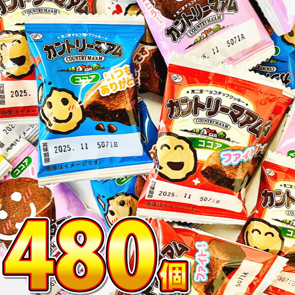 【平日正午までの注文で最短翌日お届け】【送料無料】1個20.9円! 不二家 カントリーマアム ココア 480個【 お祭り イベント お菓子 業務用 大量 お菓子...