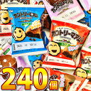 【平日正午までの注文で最短翌日お届け】【送料無料】1個23円! 不二家 カントリーマアム ココア 240個【 お祭り イベント お菓子 業務用 大量 お菓子 お試しお菓子 チョコレート 駄菓子 お菓子 ばらまき お菓子 個包装 菓子 あす楽】
