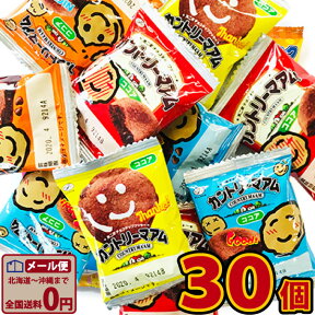 【ゆうパケットメール便送料無料】不二家　カントリーマアム　ココア　30個【 お祭り イベント お菓子 業務用 大量 お菓子 おやつ お試し ポイント消化 1000円ポッキリ 限定 駄菓子 ばらまき お菓子 ばらまき お菓子 退職 ばらまき 個包装 菓子 】