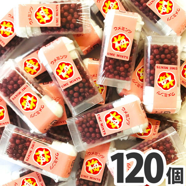 【送料無料】オリオン 梅ミンツ 1個（8g）×120個【お菓子 おやつ 駄菓子 詰め合わせ 送料無料 送料込み】