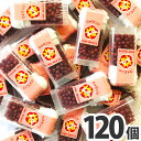 【送料無料】オリオン 梅ミンツ 1個（8g）×120個【お菓子 おやつ 駄菓子 詰め合わせ 送料無料 送料込み】