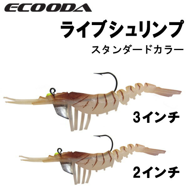 チニング特集 かめや釣具楽天市場店