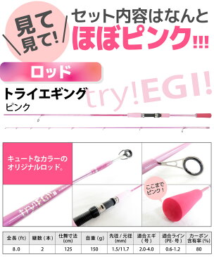 【26日までポイント5倍】【ピンクで始めるエギングセット！】ピンク☆Readyセット【セット内容はほぼピンク！】