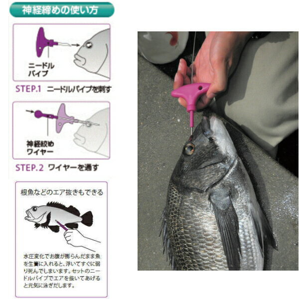 魚の締め方まとめ 血抜きや神経締めなど釣った魚の持ち帰り方を解説 暮らし の