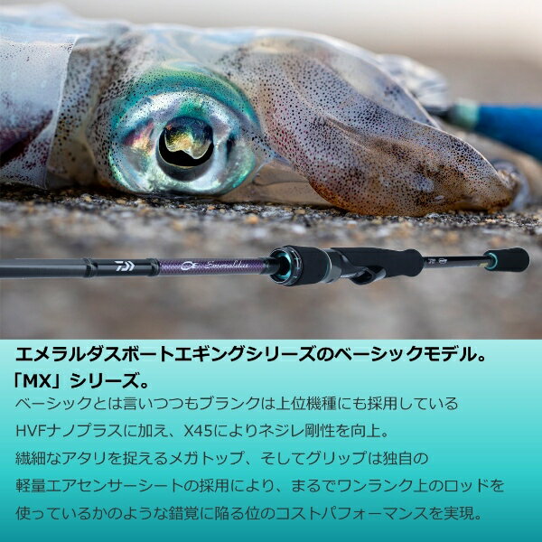 DAIWA エメラルダスMX BOAT - www.nuvisionhighschool.com DAIWA エメラルダスMX BOAT - www.nuvisionhighschool.com