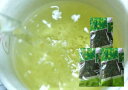 ステキ まかない茶 大容量 鹿児島茶 120g3袋 美味しい お茶 日本茶 茶葉 カテキン