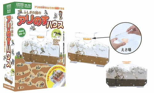 楽天市場 学研 科学と学習 Presents 自由研究 蟻の巣生体観察キットふしぎの国のアリのすハウス J 紙 文具 ひかり 楽天市場 学研 科学と学習 Presents 自由研究 蟻の巣生体観察キットふしぎの国のアリのすハウス J 紙 文具 ひかり