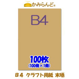 【B4】 クラフト用紙　未晒 100枚 格安　クラフト紙