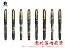 Namikiナミキ万年筆 Nippon Artニッポンアート平蒔絵 F細字/M中字/B太字ペン先14金5号 全8色