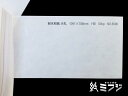 和紙 瑞穂 耐水和紙 1091x788mm 55kg 大礼no6596/雲竜no6598