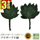 【マラソン限定★P3倍】神具 【楽天1位】 榊 サカキ セット プリザーブド榊 1対(2本セット) 『選べる3サイズ ミニ・通常・大サイズ』 神具 造花 人工榊...